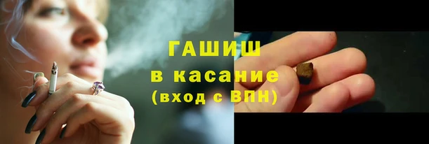 стаф Алексин