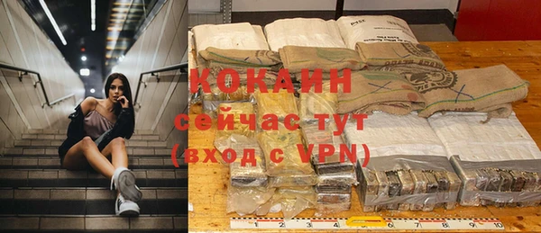 тгк Алзамай