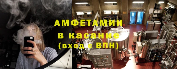 стаф Алексин