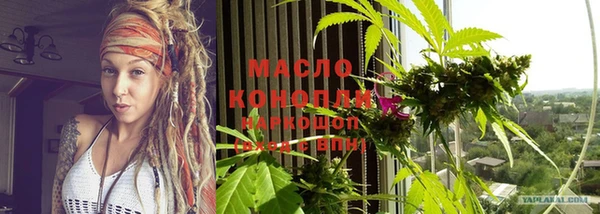 мдпв Бикин