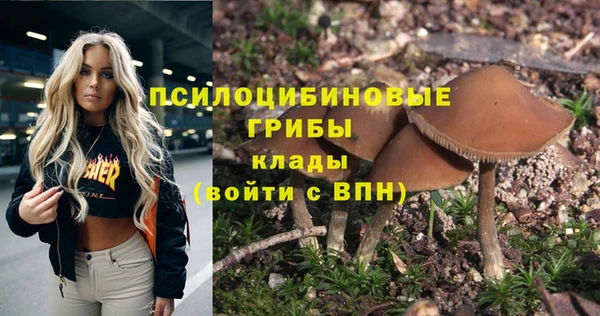 шишки Беслан