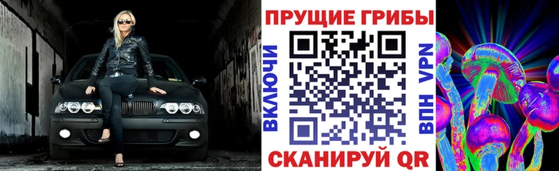Галлюциногенные грибы Psilocybe  Южно-Сахалинск 