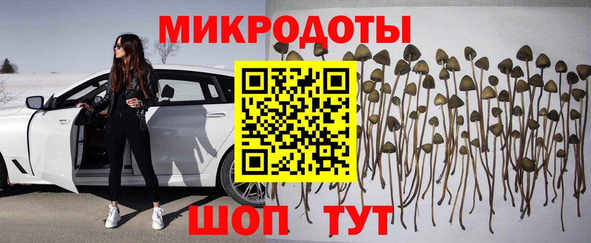 Псилоцибиновые грибы Cubensis Южно-Сахалинск